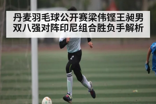 丹麦羽毛球公开赛梁伟铿王昶男双八强对阵印尼组合胜负手解析 | c7entertainment