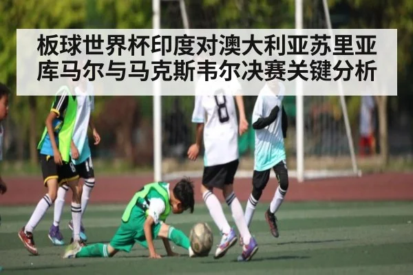 板球世界杯印度对澳大利亚苏里亚库马尔与马克斯韦尔决赛关键分析 | c7entertainment