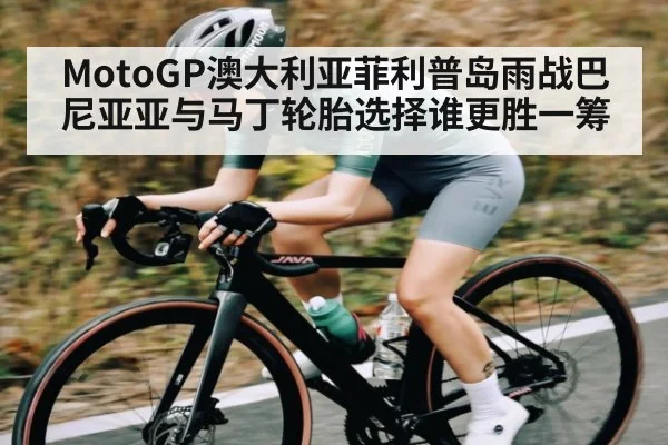 MotoGP澳大利亚菲利普岛雨战巴尼亚亚与马丁轮胎选择谁更胜一筹 | c7entertainment